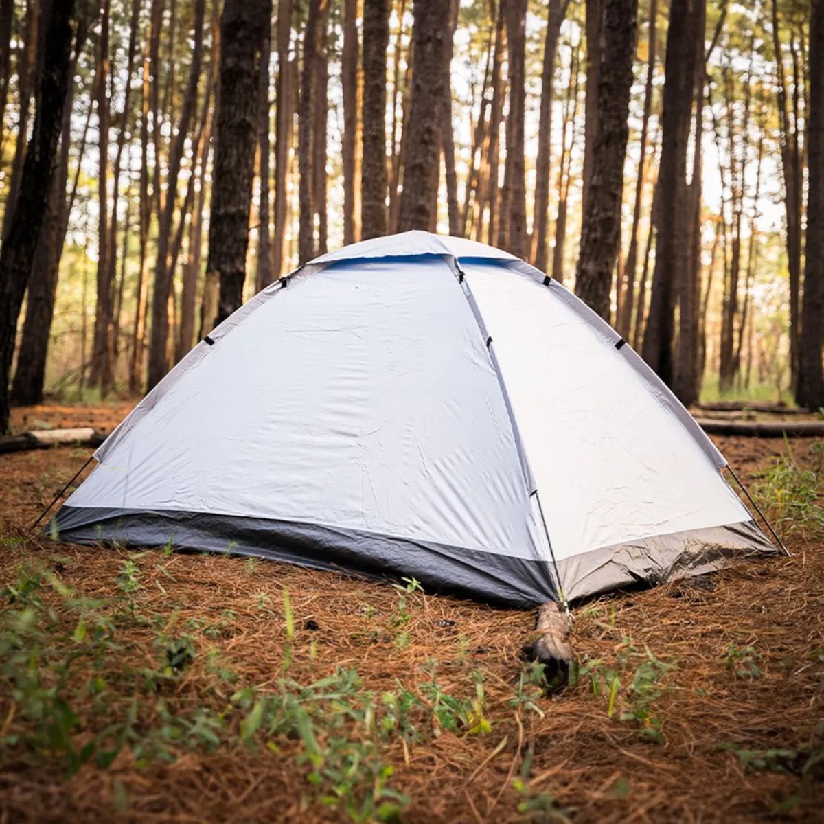 Barraca Atena Guepardo 3 P/ Acampar Leve E Compacta Nautika